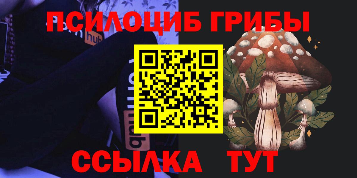 Галлюциногенные грибы Cubensis  Вход с VPN  Дедовск 